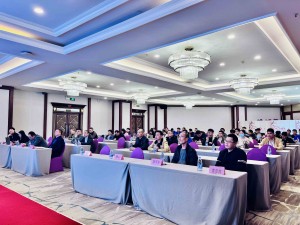 Guangdong Blesson Precision Machinery Co., Ltd. Successfully Concluded the 2024 Annual Summary Conference.